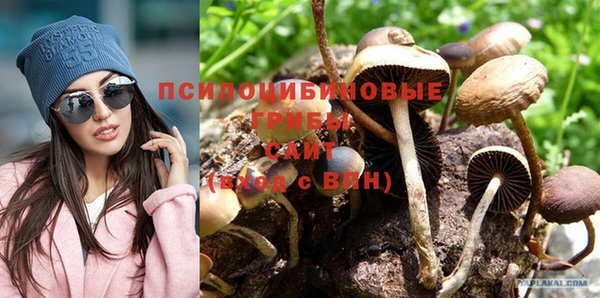 Альфа ПВП Дмитров