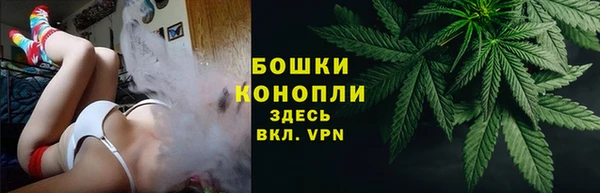 бутират Гусь-Хрустальный