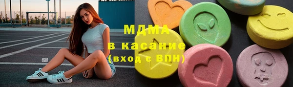 индика Гусиноозёрск