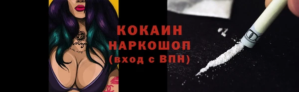 не бодяженный Гусев