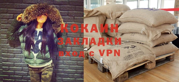 индика Гусиноозёрск