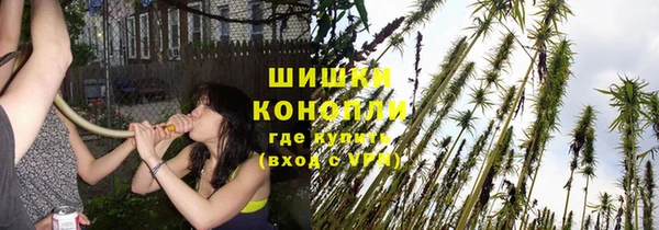 индика Гусиноозёрск