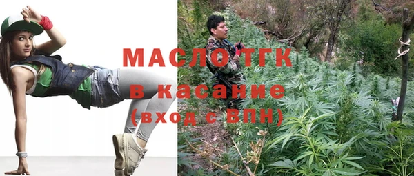 индика Гусиноозёрск