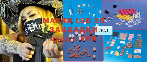 индика Гусиноозёрск