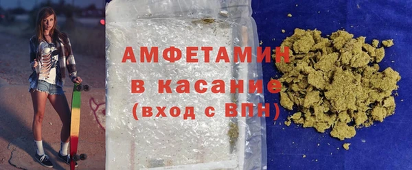 индика Гусиноозёрск