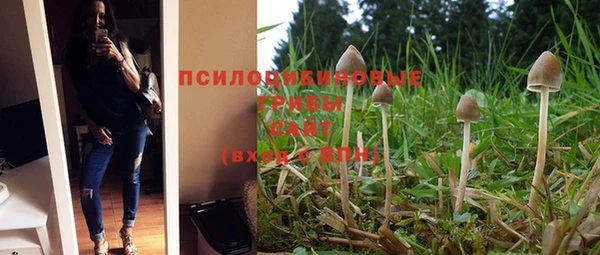 не бодяженный Гусев