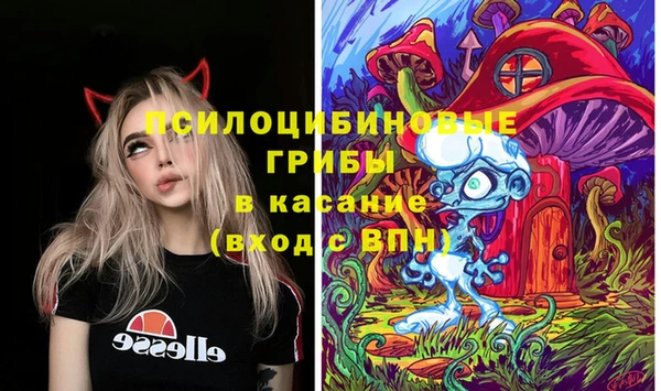 не бодяженный Гусев