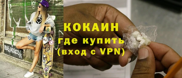индика Гусиноозёрск