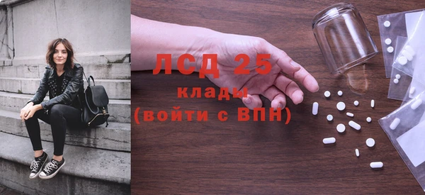 индика Гусиноозёрск