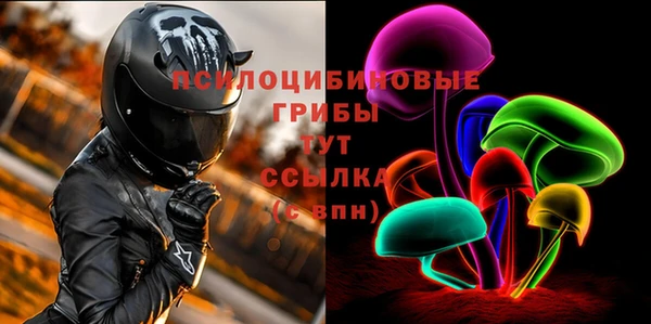 не бодяженный Гусев