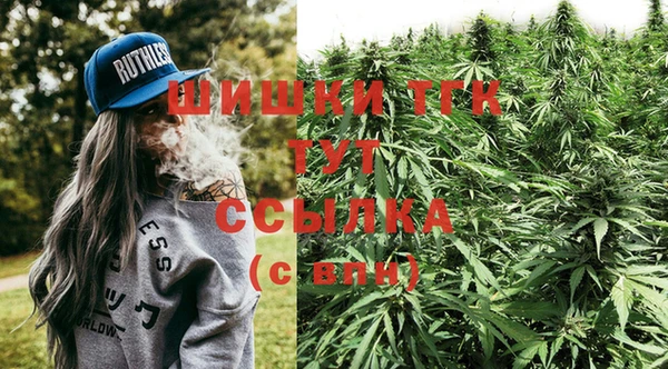 индика Гусиноозёрск