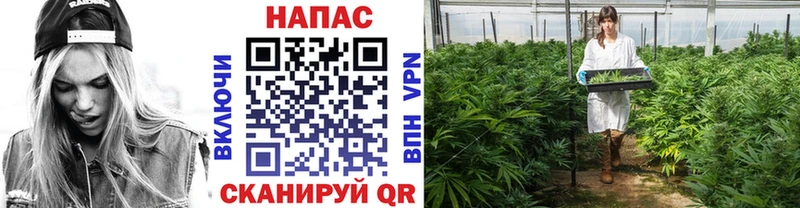 Каннабис SATIVA & INDICA  Купить где  Лысково 